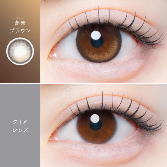 【預購】【固定高光】Kaica Yumeoto Brown 1 Day 十片裝