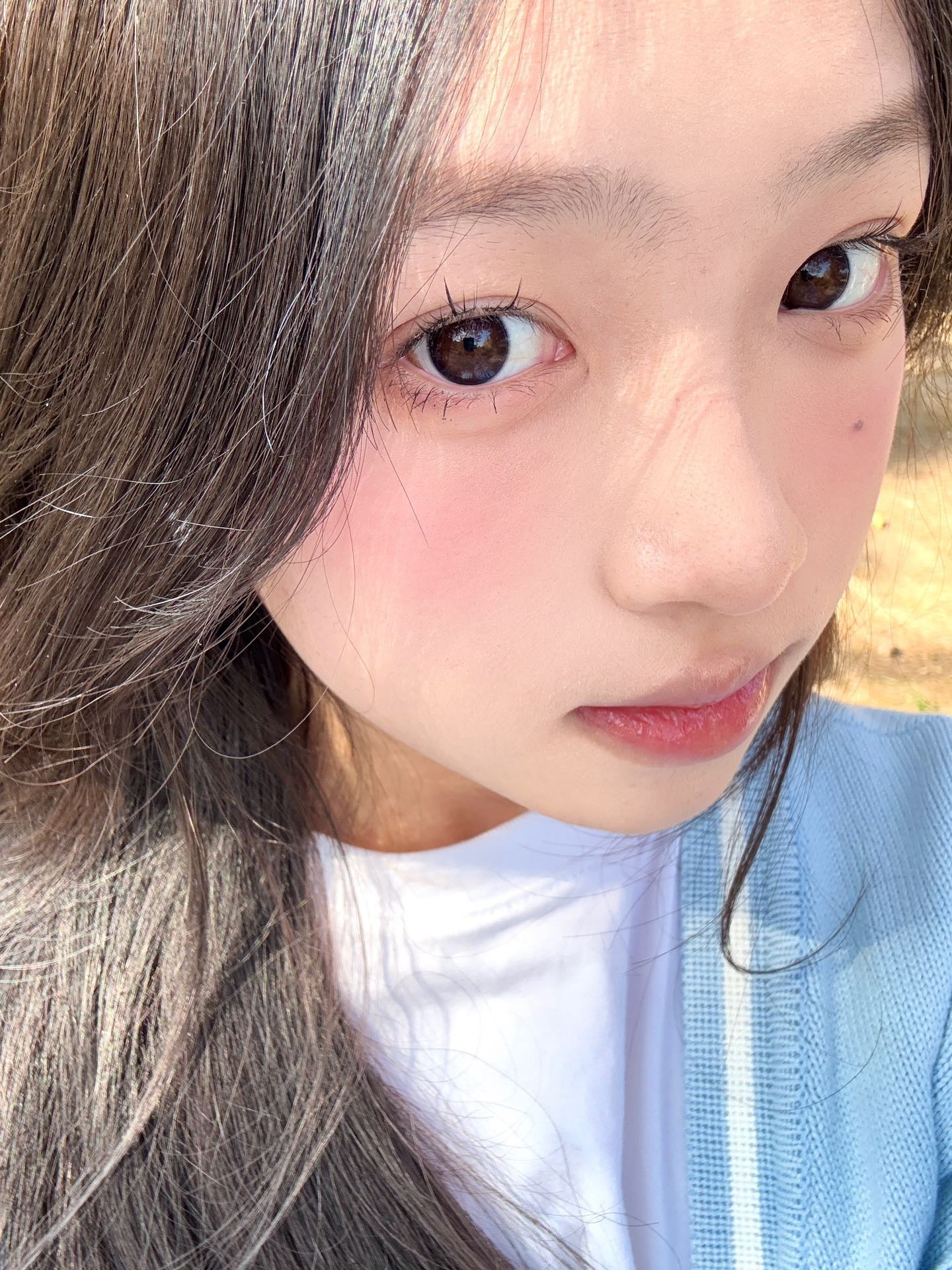 Gugucon Ring Blue 純淨詮釋 1 Day 十片裝