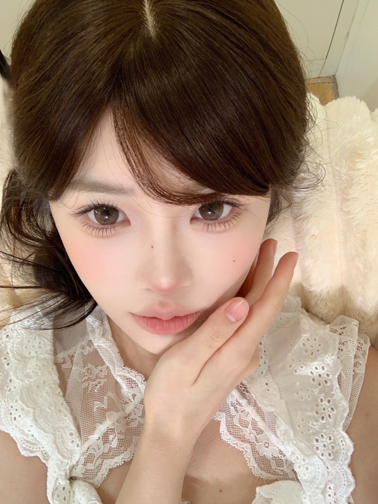 Sincecon Color Brown 超大杯奶油 1 Day 十片裝