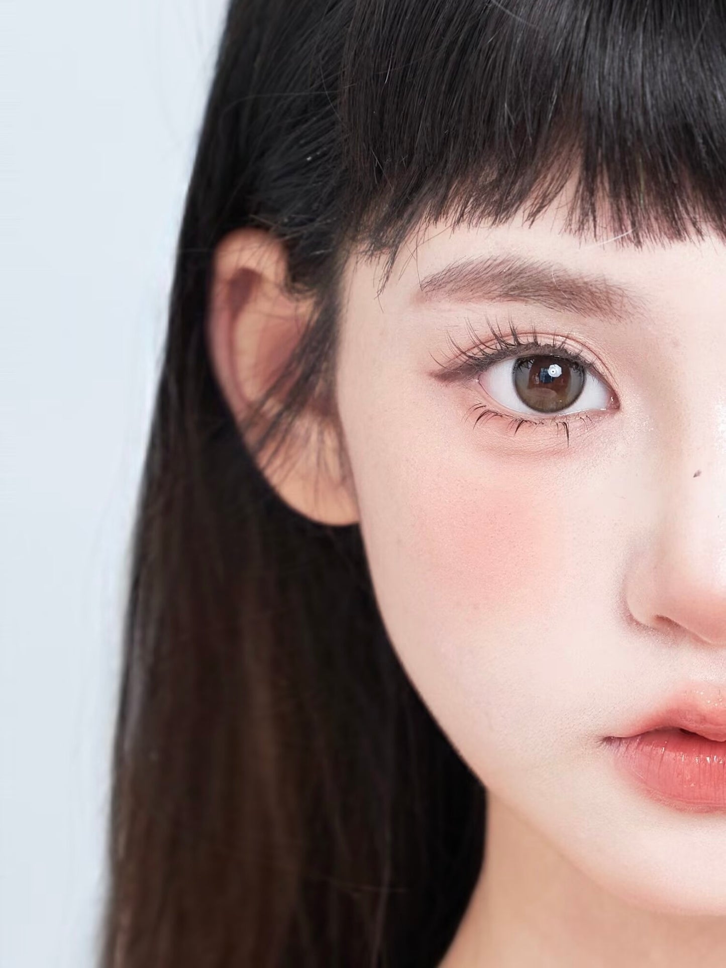 Bariecat Sesame Soybean Milk 芝麻豆乳 1 Day 十片裝