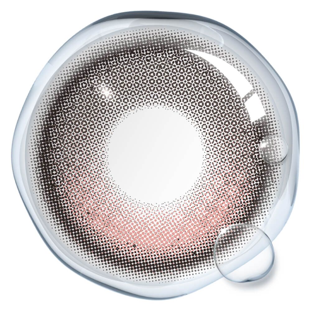 【即將發售】【固定高光】Dewlit Plus Toasty Roa 1 Day 十片裝