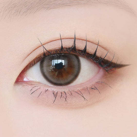 【預購】Rom'u Sepia Brown 1 Day 十片裝