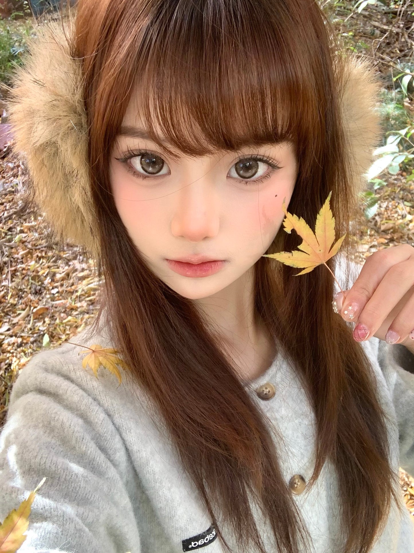 Doragina Toki Choco 曲奇主義 1 Year 一片裝