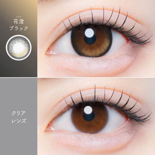 【預購】【固定高光】Kaica Kasumi Black 1 Day 十片裝