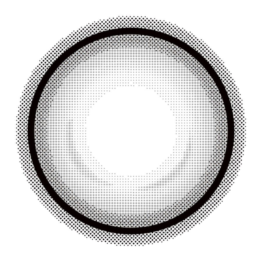 【預購】Eye Closet Holo Gray 1 Day 十片裝
