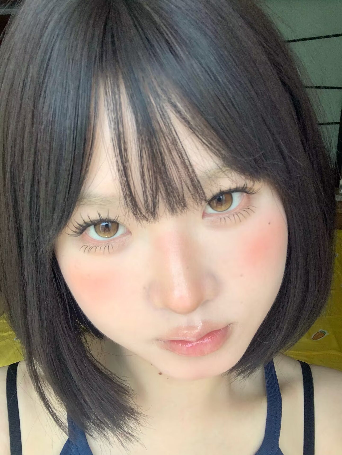 Toastnomi Golden Age 黃金時代 1 Day 十片裝