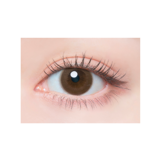 【預購】Flanmy Kinako Roll 1 Day 十片裝