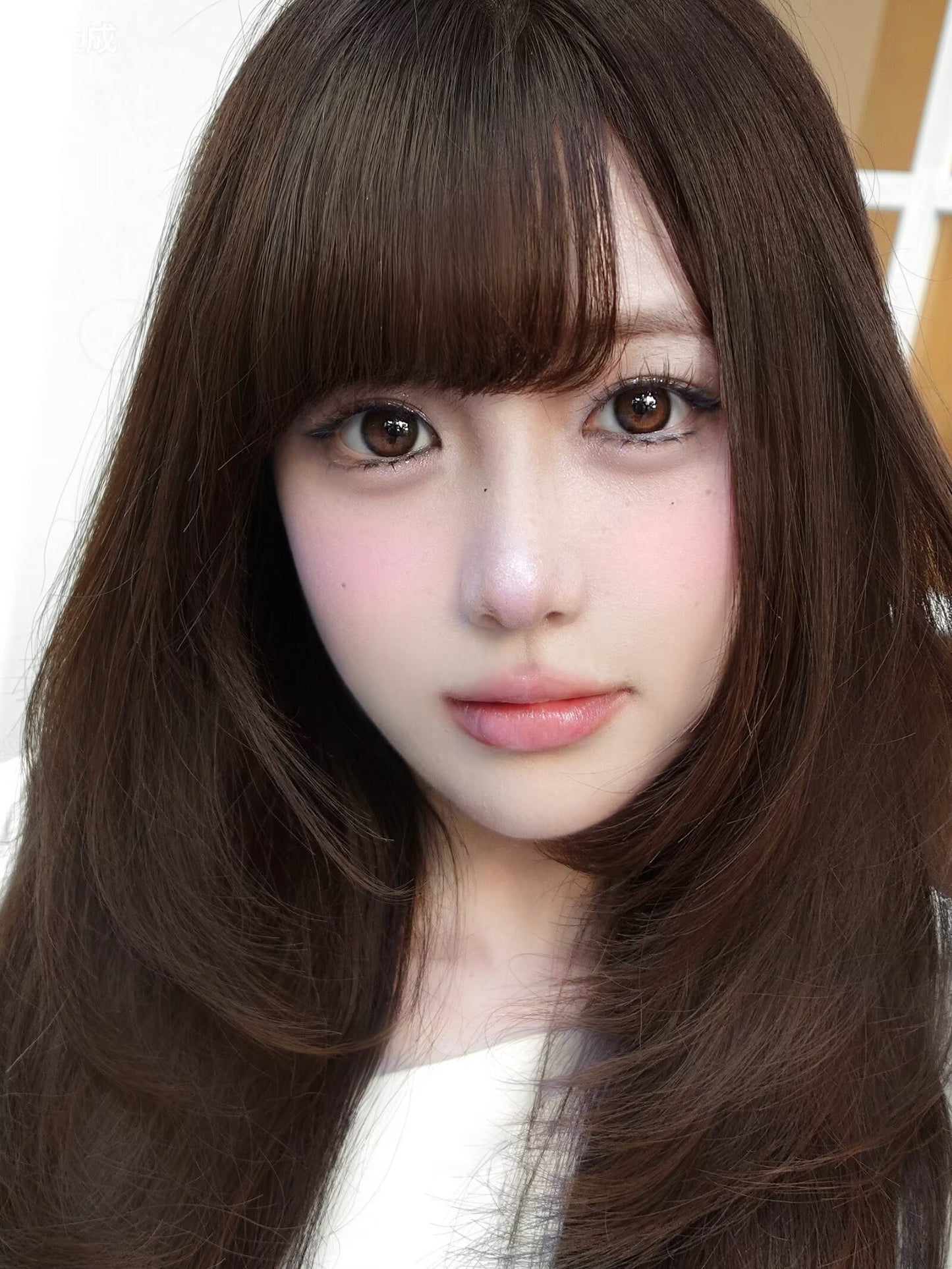 Ginomii 心軟琥珀 6-Months 一片裝