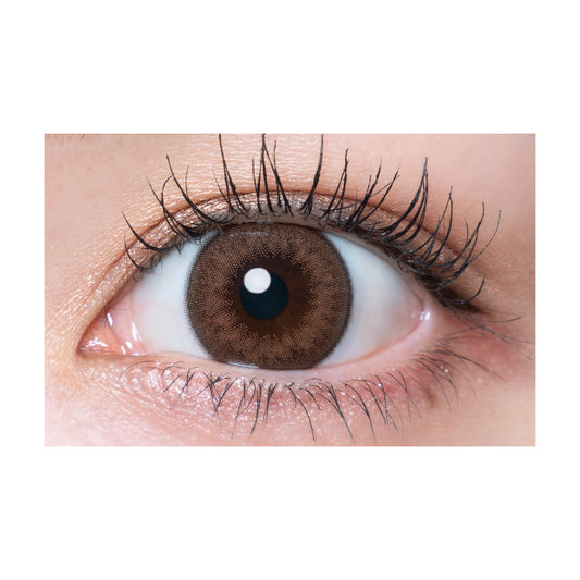 【預購】Quprie Charme Brown 1 Day 十片裝