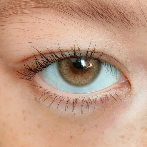 Uria I-dol BARCAT Siamese Beige 暹羅棕 1 Year 一片裝