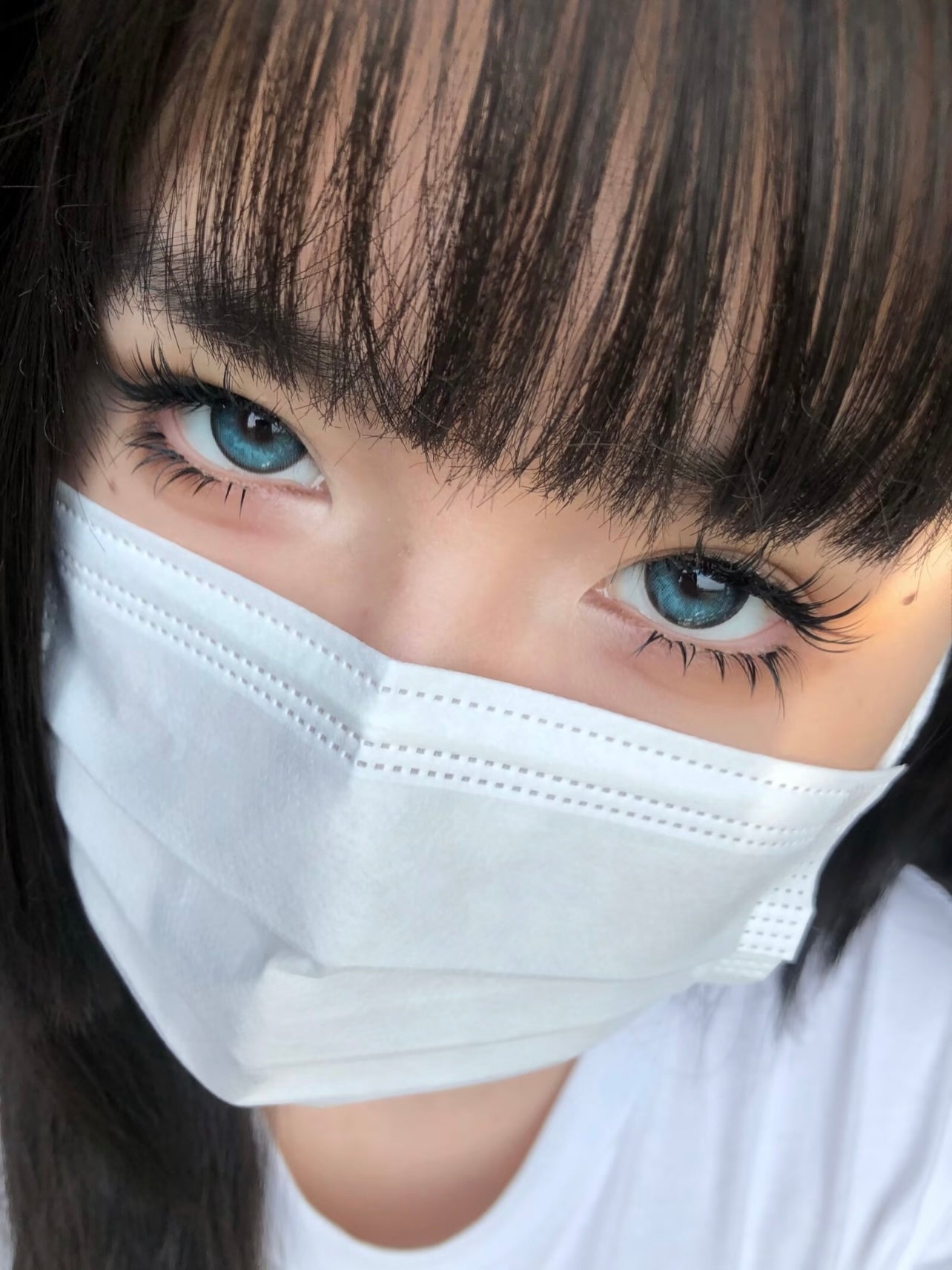 Morea Logic Blue 海洋公園 1 Year 一片裝