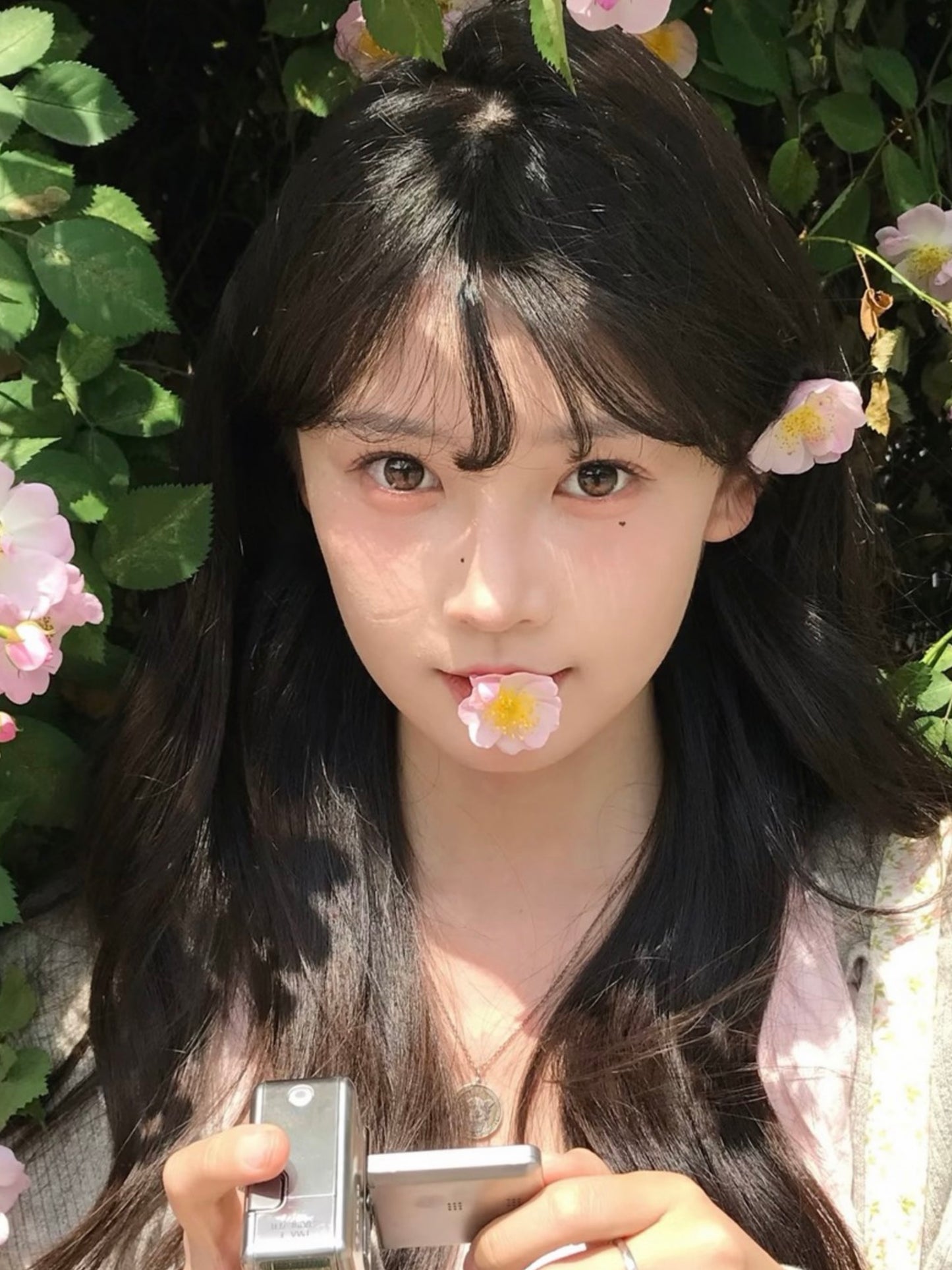 【固定高光】Kirafairy Amber Brown 琥珀立正 1 Day 十片裝