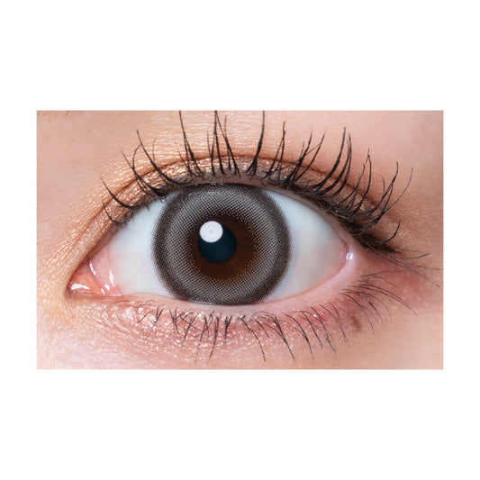 【預購】Quprie Gray Chaton 1 Day 十片裝