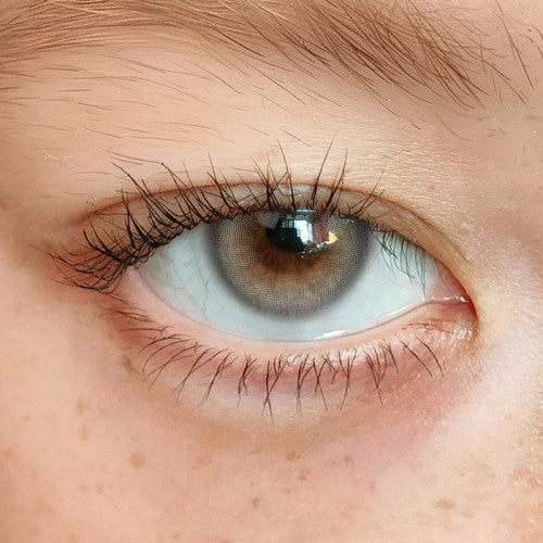 Uria I-dol BADCAT Egyptian Gray 埃及灰 1 Year 一片裝