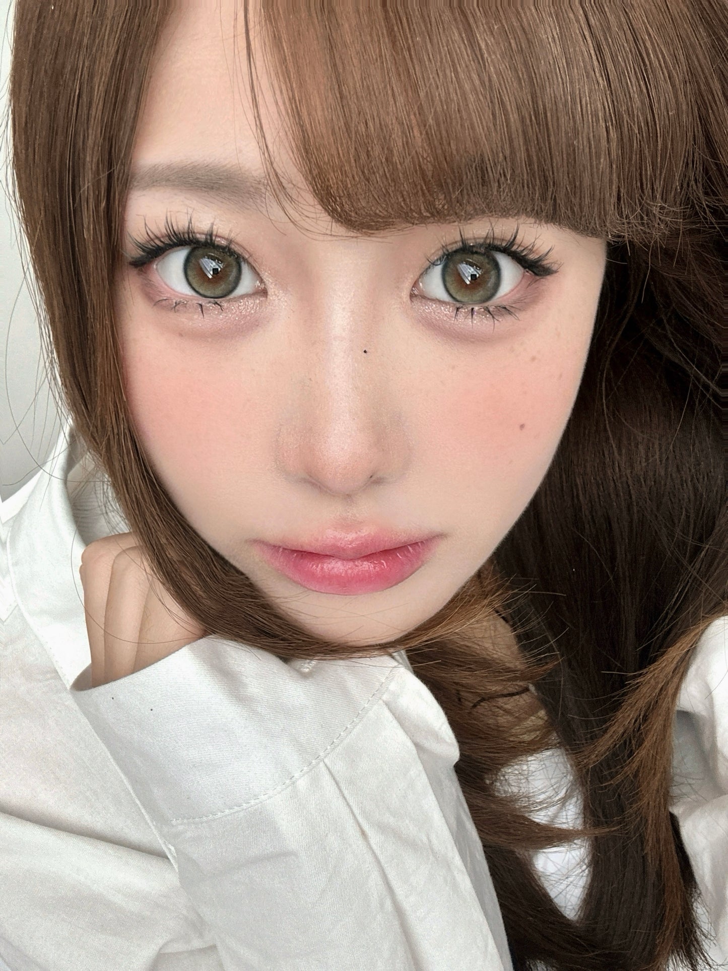 Ginomii 小青柑 6-Months 一片裝