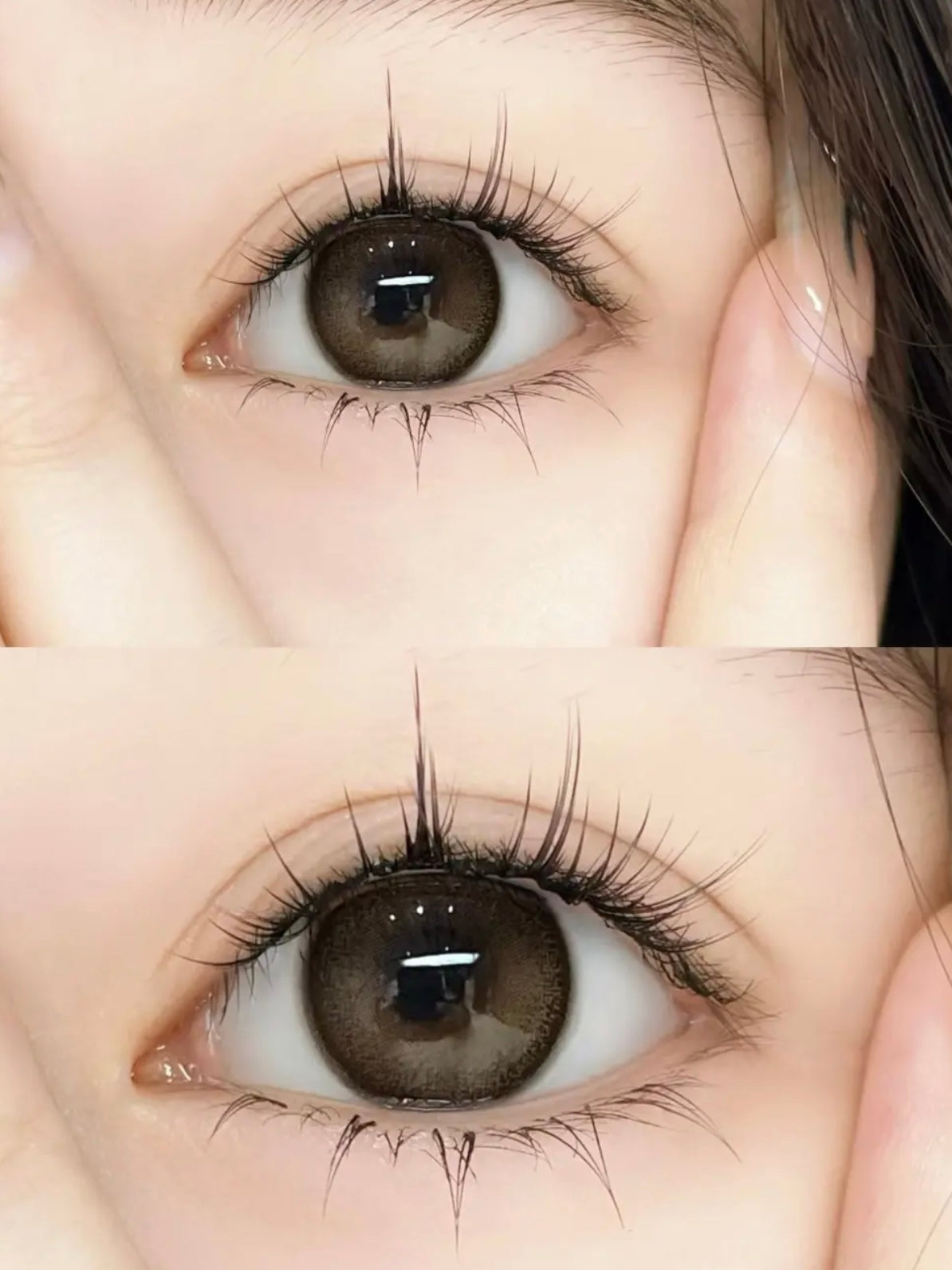 Ginomii Heli Brown 咖喱果子 6-Months 一片裝