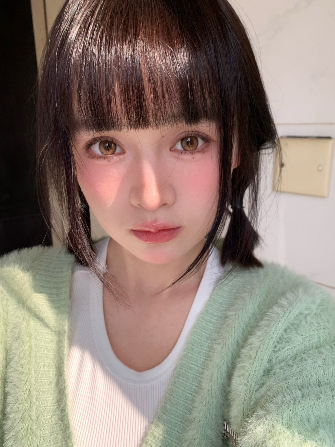 Bariecat CD-21 Brown 南瓜貝果 1 Day 十片裝