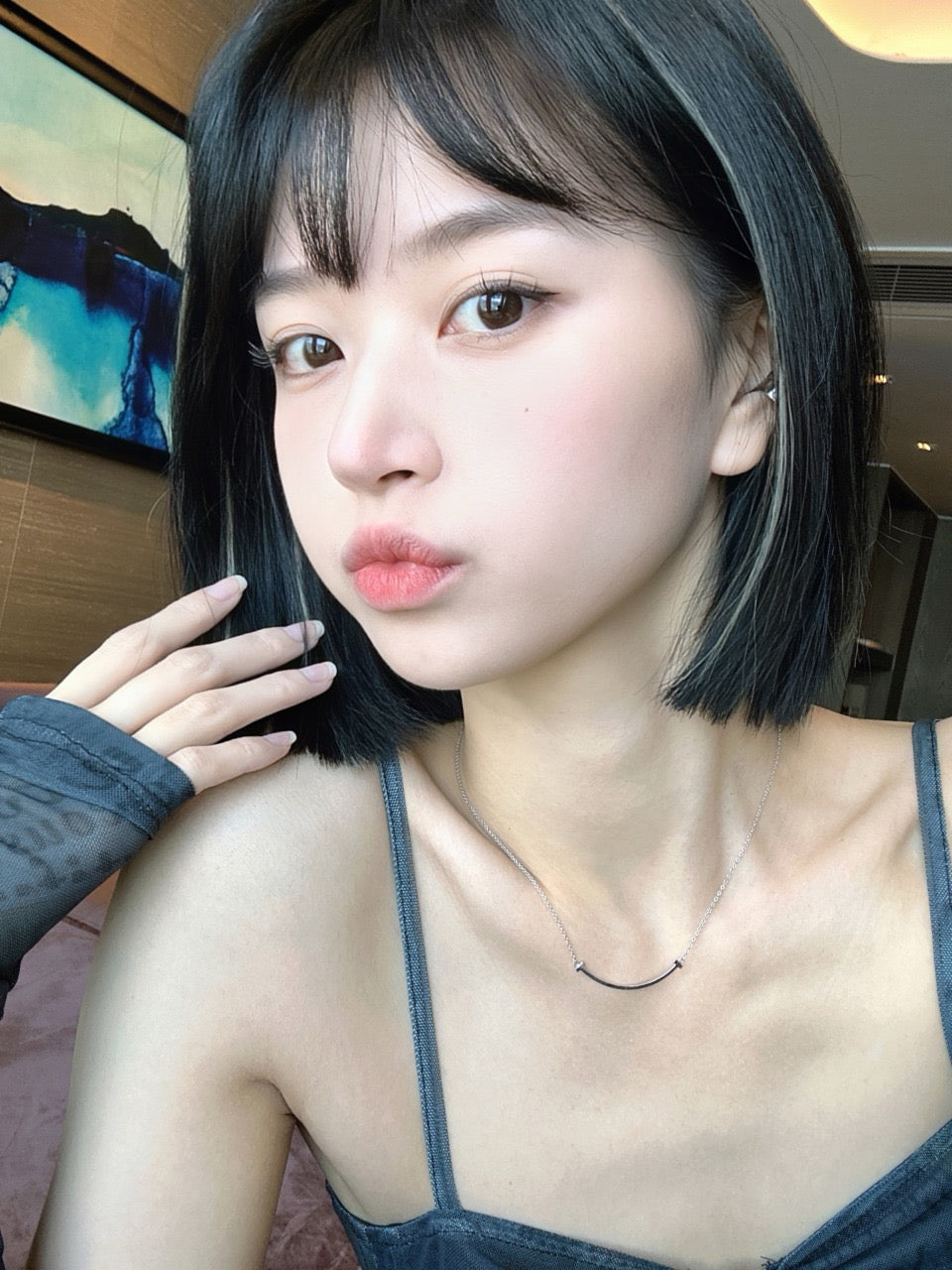 Colorwink Felis Catus 中華田園 6-Months 一片裝