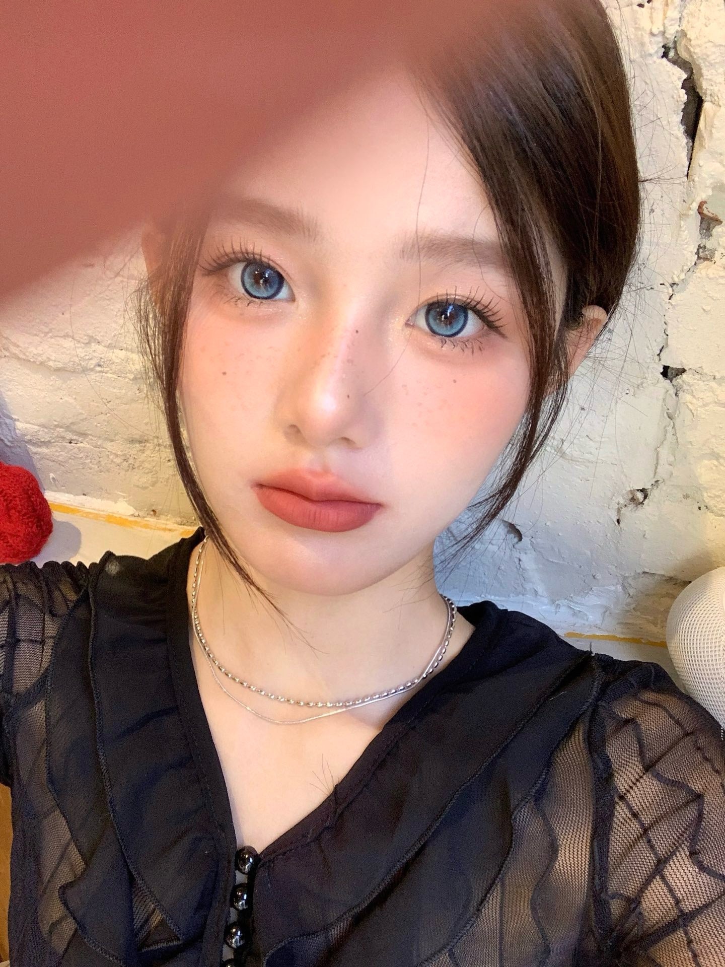 Doragina Rica Blue 極地冷光 1 Year 一片裝