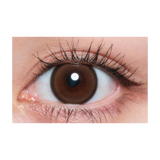 【預購】Quprie Bebe Brun 1 Day 十片裝