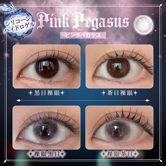 【預購】Phantom Eden Pink Pegasus 1 Day 十片裝