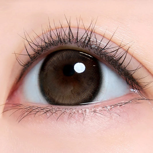 【預購】【固定高光】I-SHA LN25 Deep Choco 1 Day 十片裝