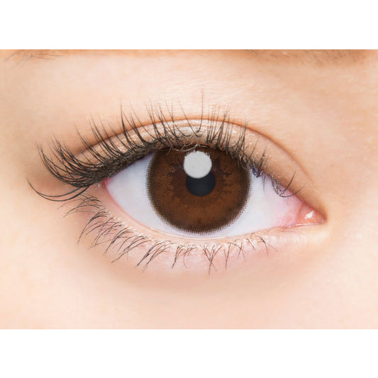 【預購】Angelcolor BAMBI SERIES Natural Nude 1 Day 十片裝