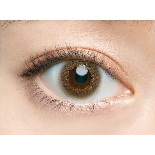 【預購】Angelcolor BAMBI SERIES Vintage Hazel 1 Day 十片裝