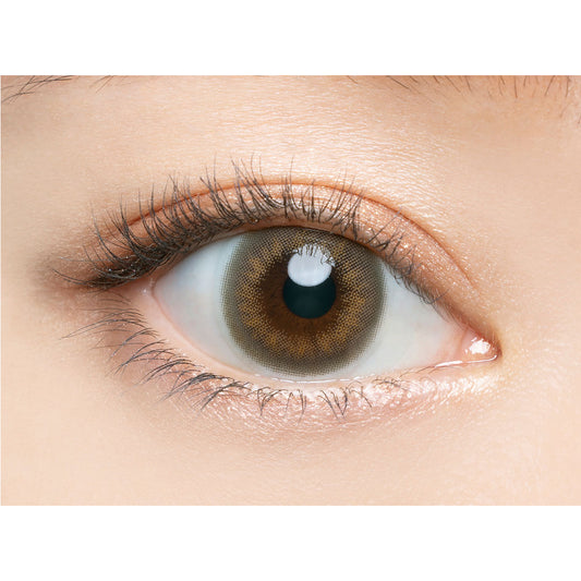 【預購】Angelcolor BAMBI SERIES Vintage Grege 1 Day 十片裝