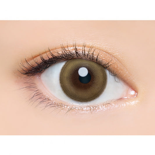 【預購】Angelcolor BAMBI SERIES Lemon Hazel 1 Day 十片/三十片裝