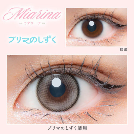 【預購】【固定高光】Refrear Marina Silicone Hydrogel Prima No Shizuku 1 Day 十片裝