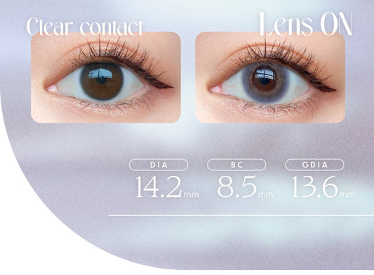 【預購】Angelcolor BAMBI SERIES Vintage Lavender 1 Day 十片裝