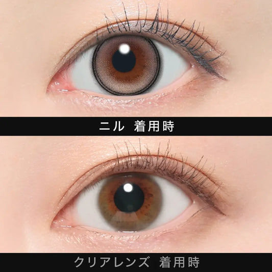 【預購】【固定高光】Other Nill 1 Day 十片裝