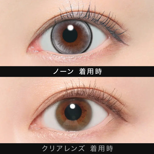 【預購】【固定高光】Other None 1 Day 十片裝