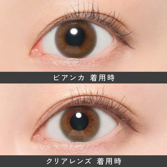 【預購】Revia Bianca 1 Day 十片裝