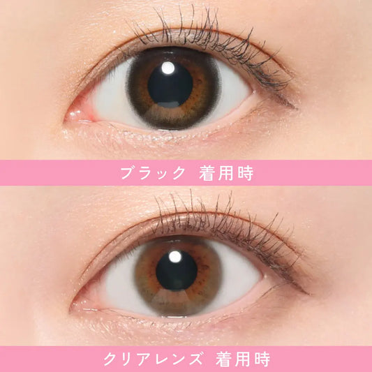 【預購】Revia Circle Black 1 Day 十片裝