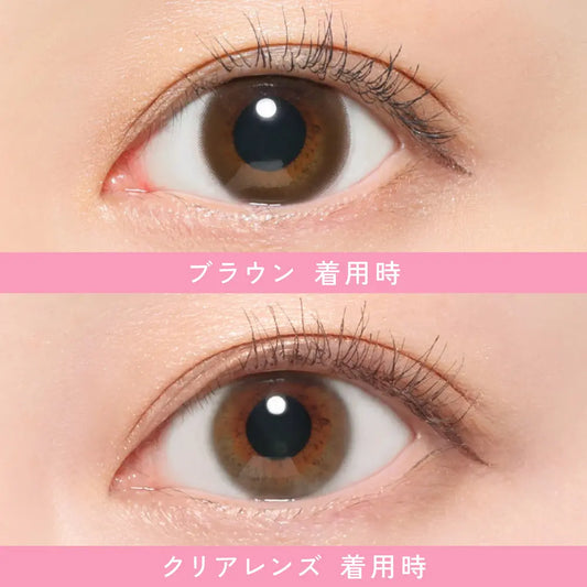 【預購】Revia Circle Brown 1 Day 十片裝