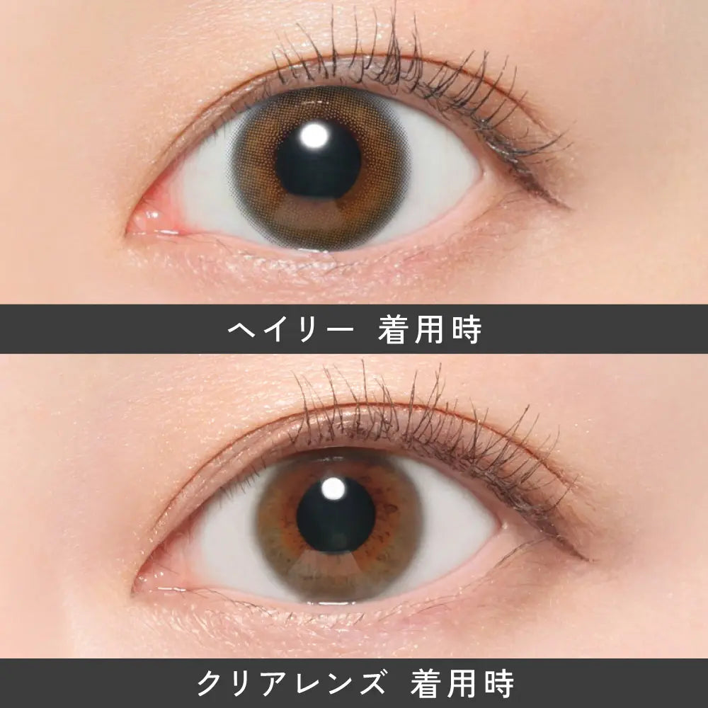 【預購】Revia Hailey 1 Day 十片裝