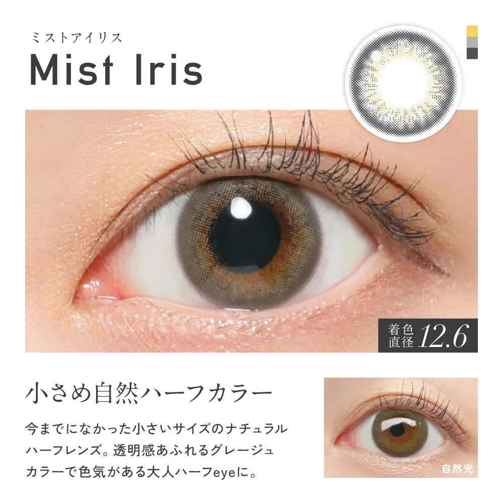 【預購】Revia Mist Iris 1 Day 十片裝