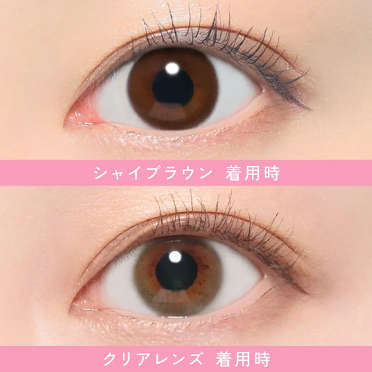 【預購】Revia Circle Shy Brown 1 Day 十片裝