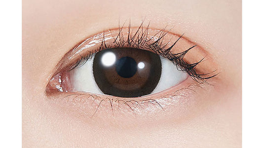 【預購】MOLAK Uniform Black 1 Day 十片裝