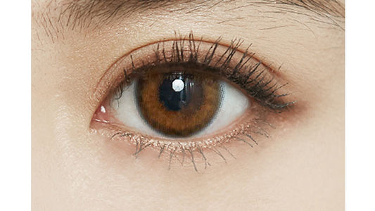 【預購】FOMOMY Iris Series Gem Brown 1 Day 十片裝