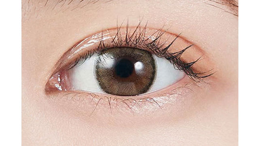 【預購】MOLAK Dazzle Beige 1 Day 十片裝