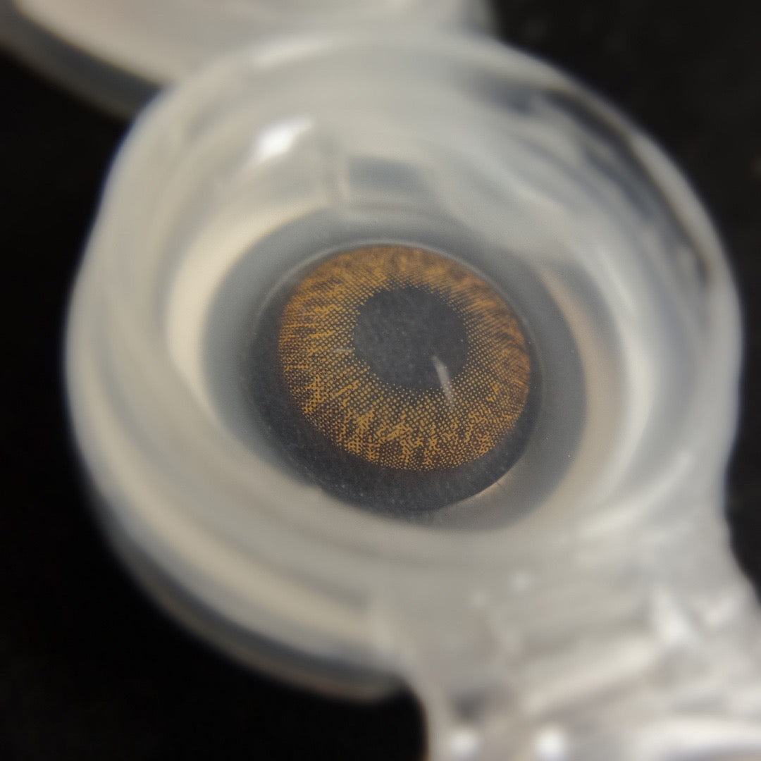 Medios Feelo 賽爾褐 1 Day