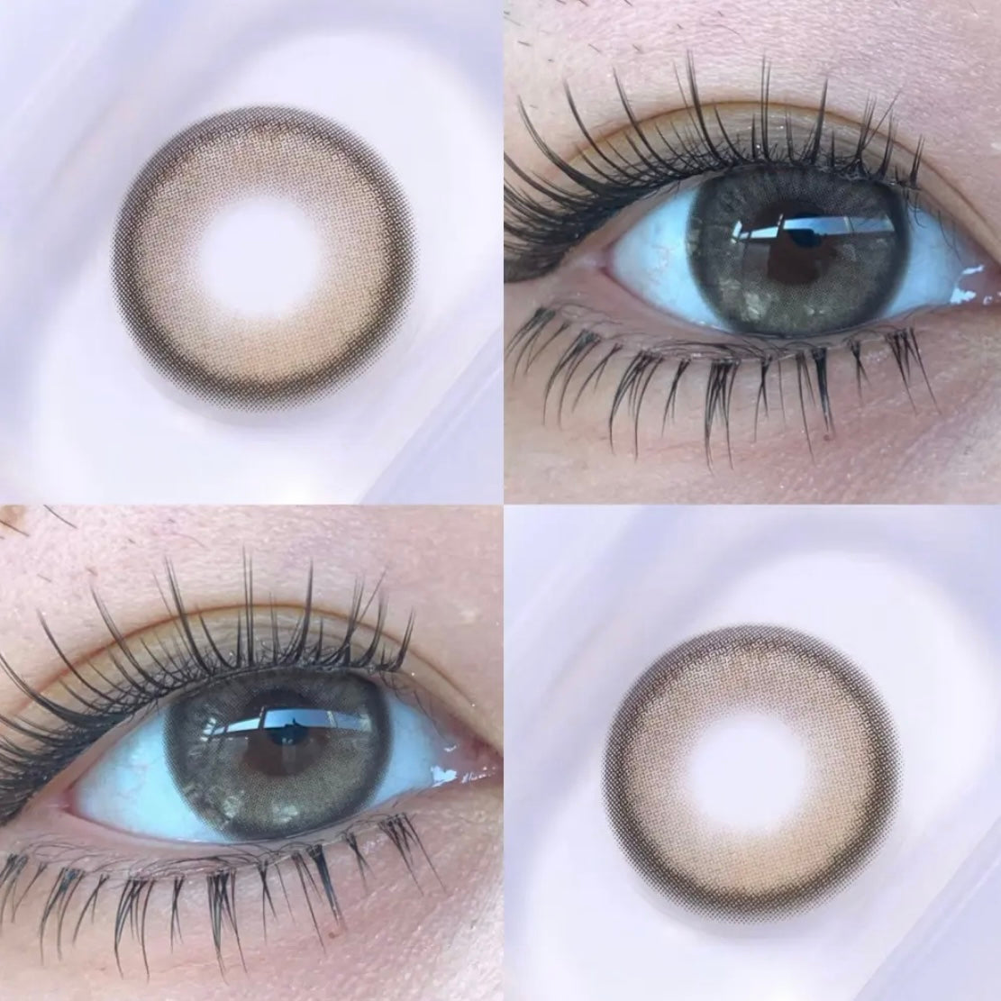 Ticcmay C18 Brown 泰里泰氣