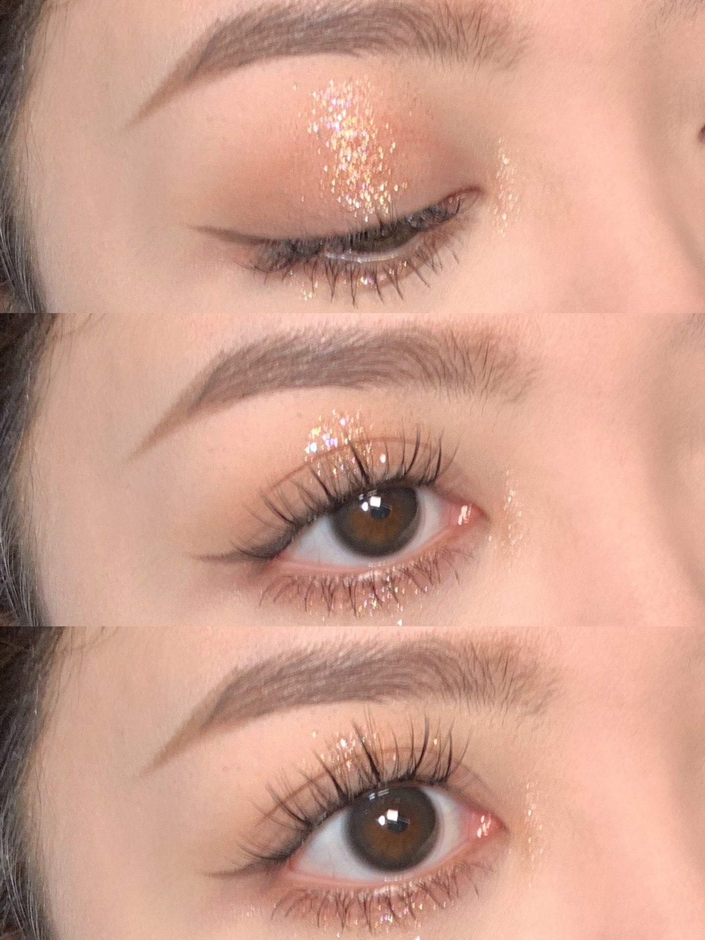 Sugarplum Nara Black 奈良鹿黑 1 Year 一片裝