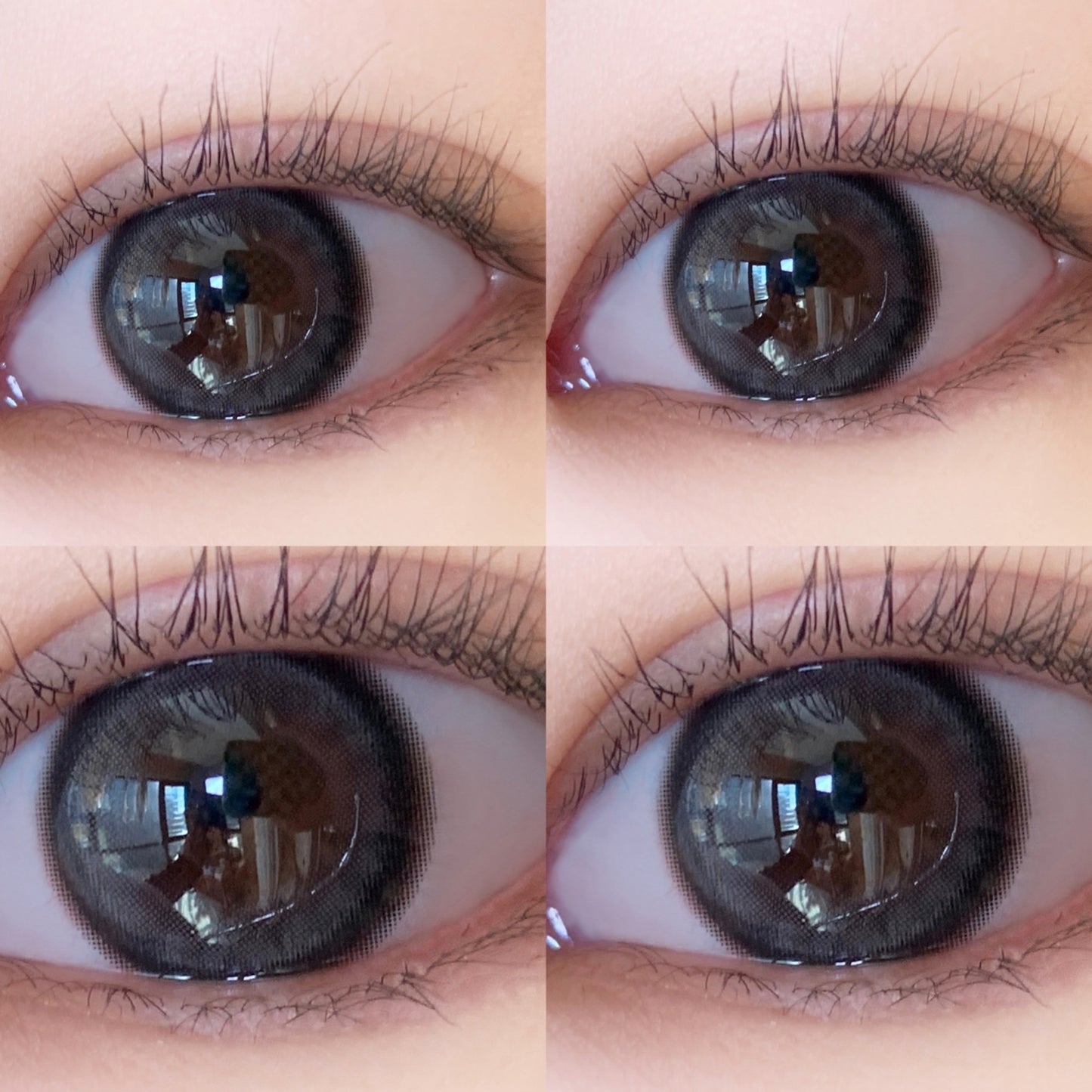 ClaireColor Secret Gray 水光奶灰 1 Year 一片装