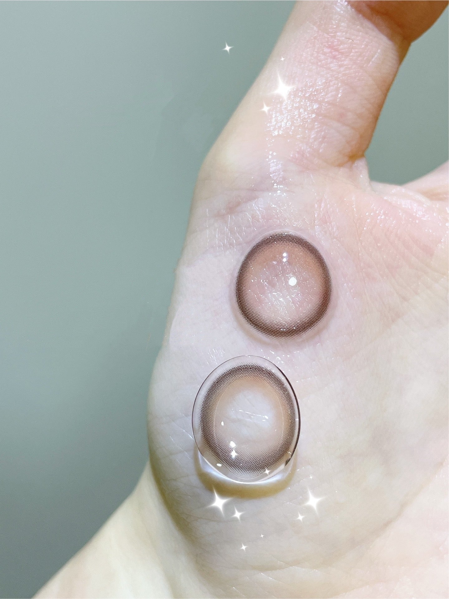 KiraSecret Nami Brown 豬鼻子 1 Day