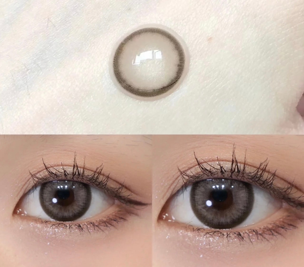 Ginomii Maya 綿羊酵母