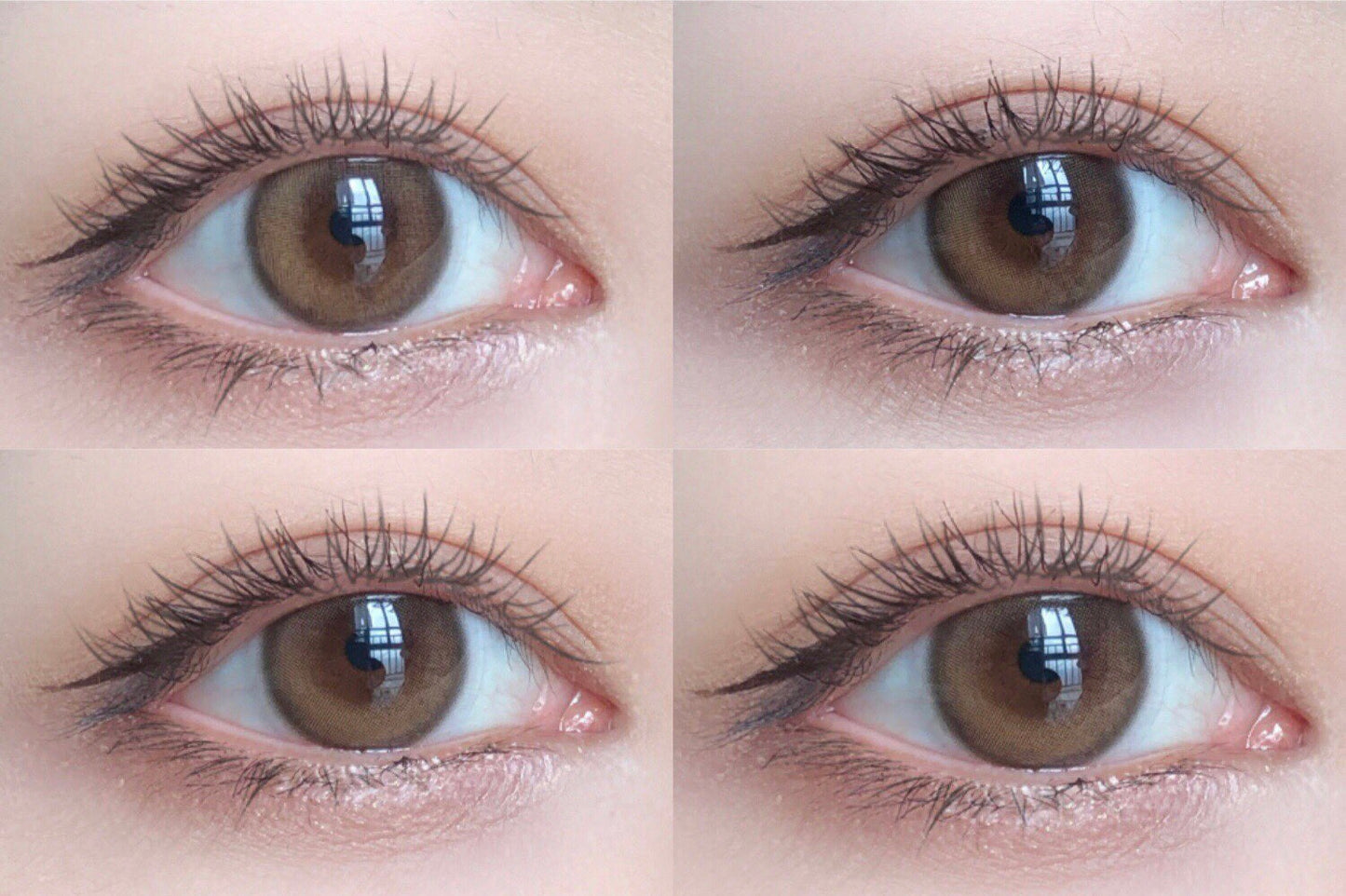 Allecon Cream Bulb Brown 奶油小燈泡 1 Year 一片裝